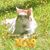 David A. McPartland's profile image
