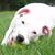 Barbara Ann's profile image