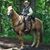 Gerald Veenker's profile image
