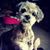 Christi Ana Haring's profile image