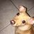 Catherine Canham's profile image
