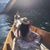 Marisol Bosque's profile image