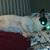 Andrew Heffelfinger's profile image