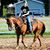 Lorissa Osborn's profile image