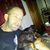 Brad Abell's profile image