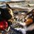 Patricia L. Williams's profile image