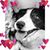 Lori Reeves Hunn's profile image