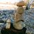 Lori Feig Sandoval's profile image
