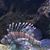 Nancy Oakleaf's profile image