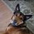 Trisha Murtha's profile image