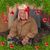Allen Rasmussen's profile image