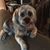 Linda Aaron Schulbaum's profile image