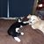 Jeany Wood's profile image