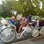 Cindy Doyle's profile image