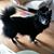 Roberta Betker's profile image