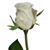 Vezeta Harvey's profile image