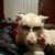 Tim Ellis's profile image