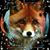 Lori Mortensen Hammer's profile image