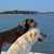 An Acquired Taste's profile image