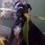 Joanie Moc's profile image