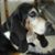 Jerry Rodems's profile image