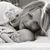 Sara Schwen Williams's profile image