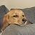 Dana Marlene Trocchio's profile image