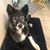 Myra Hipke Richardson's profile image
