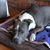 Darlene Laurenceson's profile image