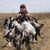 Carter Boles's profile image