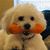 Stephanie Bridges's profile image