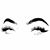 Fran Roc's profile image