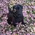 LeeAnn Coyle Priller's profile image