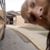 Ric Doran's profile image