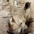 Timothy Hotchkiss's profile image