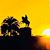Asrat Zeru's profile image
