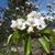 Jeanne Neff's profile image