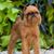 Laurie Cederstrom Matson's profile image