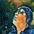Morgan A. Herbold's profile image