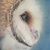 Rudy Tamez's profile image