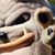 Brad Weathersbee's profile image