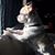 Nadia Arguello's profile image