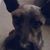 JoAnne Kyllonen's profile image