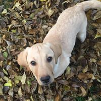 Danielle Bleecker's profile image