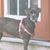 Laura Meaux's profile image