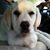 Gail Cunningham's profile image