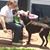 Christine Miller's profile image