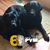 Joanne Troutner's profile image