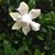 Rebecca Robison's profile image