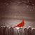 Jacqueline Sue Follen Royer's profile image